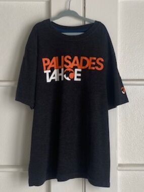 Boys Palisades Charcoal T-Shirt, size L (12-14)